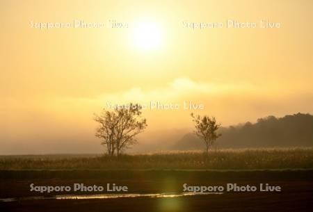 湿原と朝日