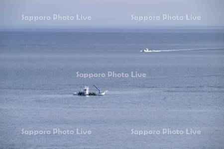 サケの定置網漁