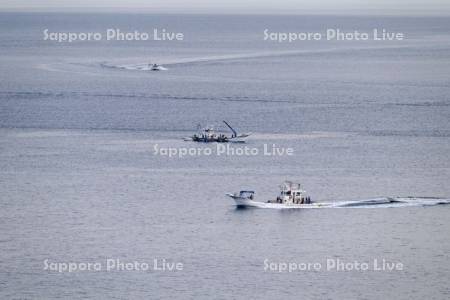 サケの定置網漁