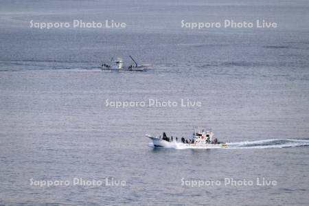 サケの定置網漁