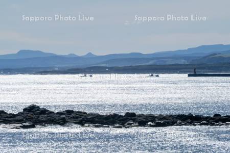 漁船帰港（サケ漁）