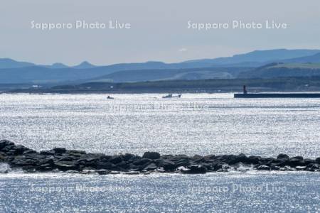 漁船帰港（サケ漁）