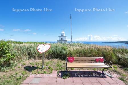 恋する灯台　ペシ岬