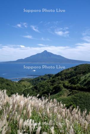 香深港のフェリーと利尻島