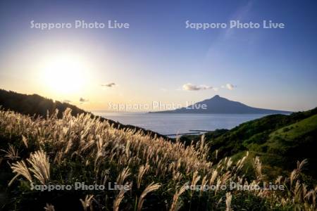 朝陽とススキと利尻島