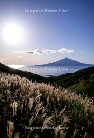 朝陽とススキと利尻島
