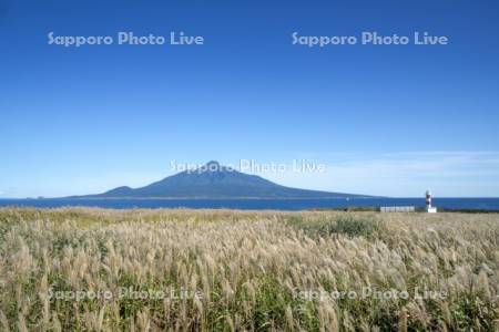 ススキと奮部灯台と利尻島