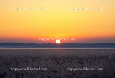 サロベツ原野の日の出