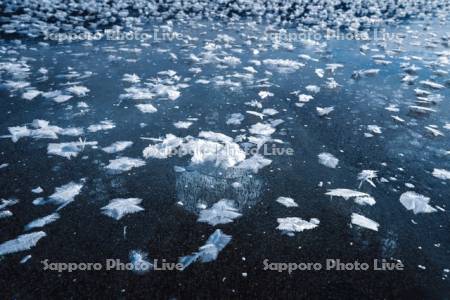 糠平湖のフロストフラワー