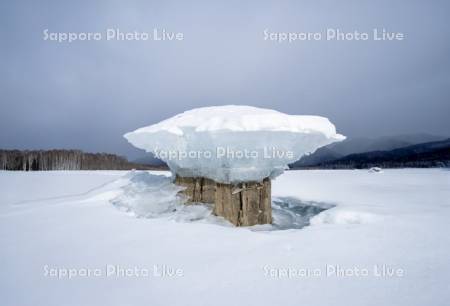 糠平湖のキノコ氷
