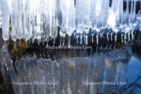 屈斜路湖のしぶき氷のつらら