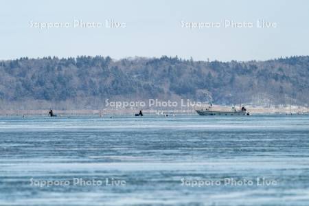 アサリ漁　厚岸湖