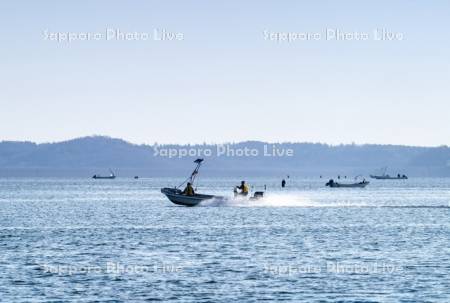 アサリ漁　厚岸湖