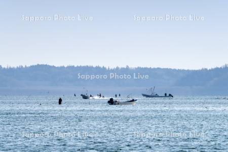 アサリ漁　厚岸湖