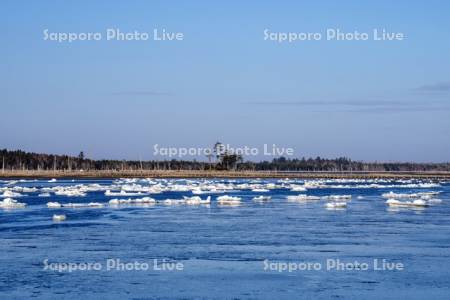 流氷と春国岱