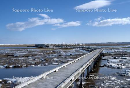 春国岱木道と流氷