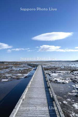 春国岱木道と流氷