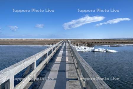 春国岱木道と流氷