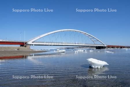 温根沼大橋と流氷　R44