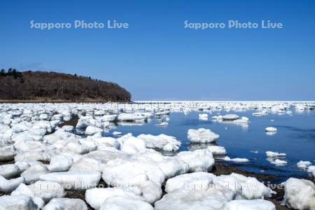 根室湾の流氷