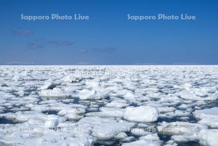 根室湾の流氷