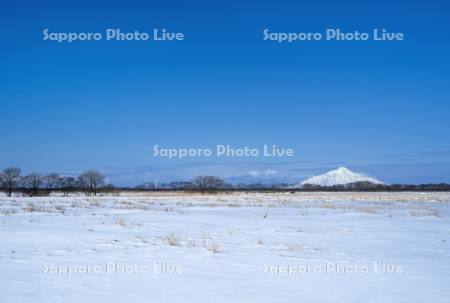 風力発電と利尻島