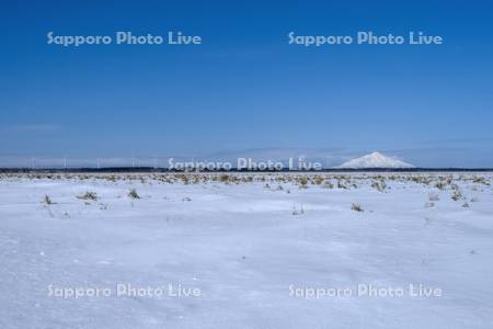 風力発電と利尻島