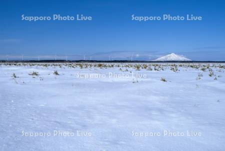 風力発電と利尻島