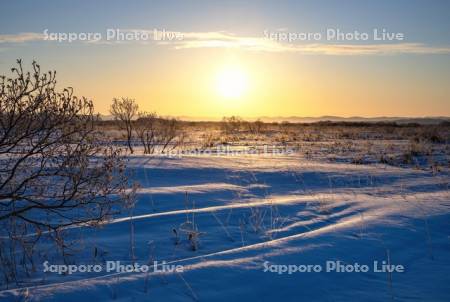朝陽とサロベツ原野
