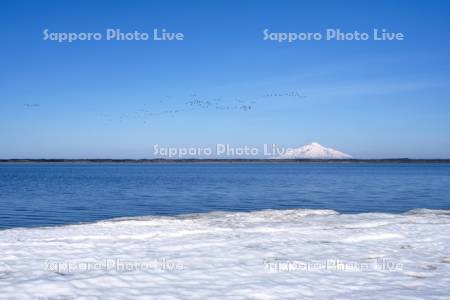 雪解けのパンケ沼と利尻島