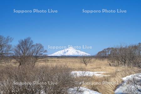 雪解けのサロベツ原野と利尻島