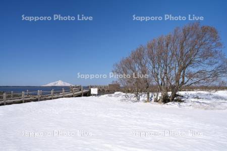 雪解けのパンケ沼と利尻島