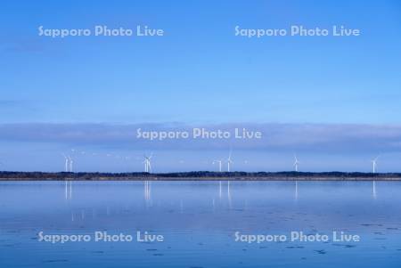 パンケ沼と風力発電とハクチョウ