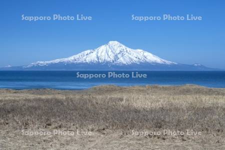 早春の利尻島