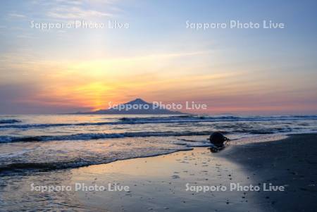 ダイヤモンド利尻富士