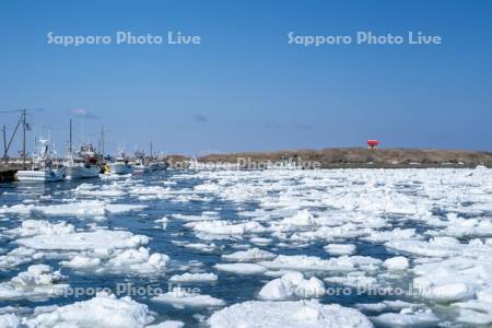 根室港と流氷と市杵島神社