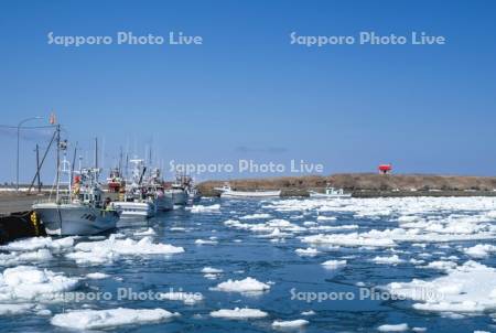 根室港と流氷と市杵島神社
