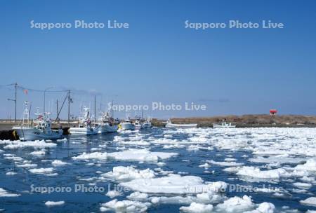 根室港と流氷と市杵島神社