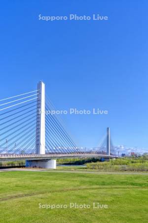 十勝大橋