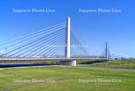 十勝大橋