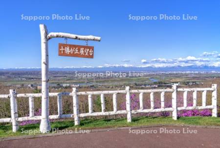 十勝が丘展望台と日高山脈