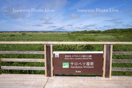 サロベツ原野