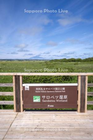 サロベツ原野
