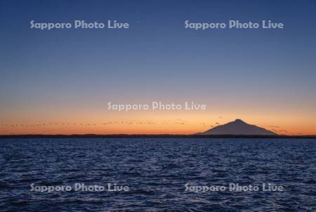 夕景のパンケ沼と利尻島　ハクチョウ