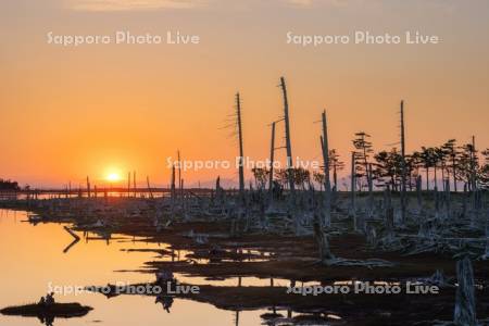 春国岱と夕日