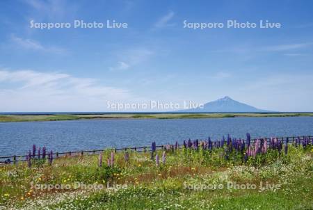 天塩川河川公園と利尻島