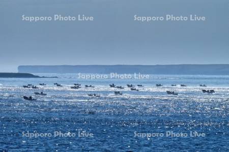 コンブ漁船と貝殻島