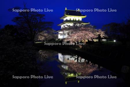 松前城夜景