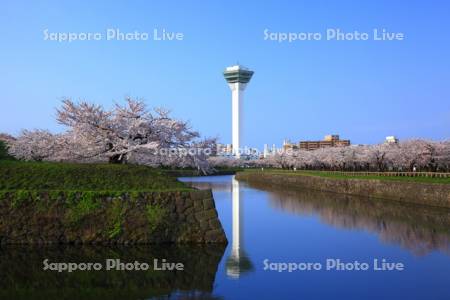 五稜郭公園