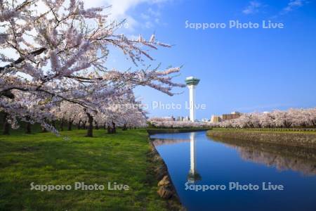 五稜郭公園